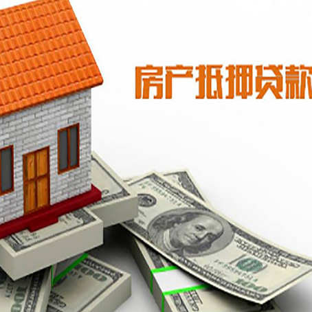 赵西垸林场贷款助贷公司新渝启服的政策