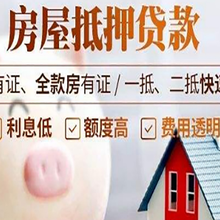 赵西垸林场贷款中介公司新渝启服实力公司